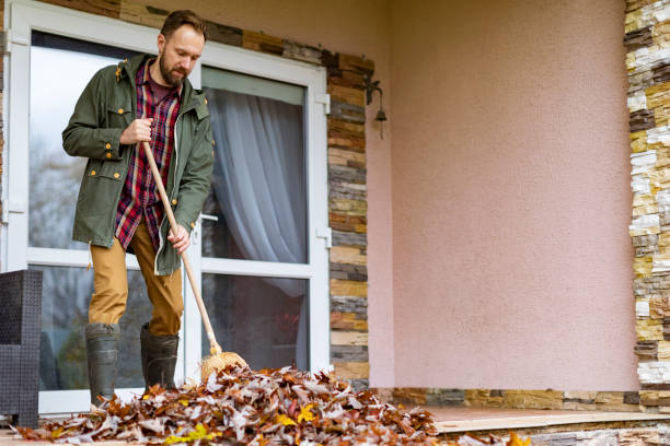 Best Dumpster Rental Services  in Lake Wildwood, CA